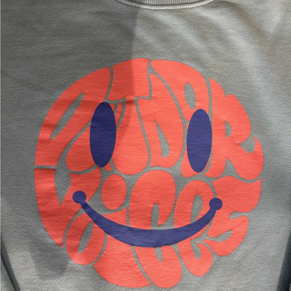 Outdoor Voices Blue and Pink Crewneck Sweater - Picture 4 of 6